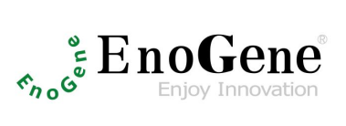 EnoGeneFec™ 2000 Transfection Reagent